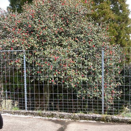 体験型農家民泊「お陽さまと風」 Apartment Bungoono Екстериор снимка