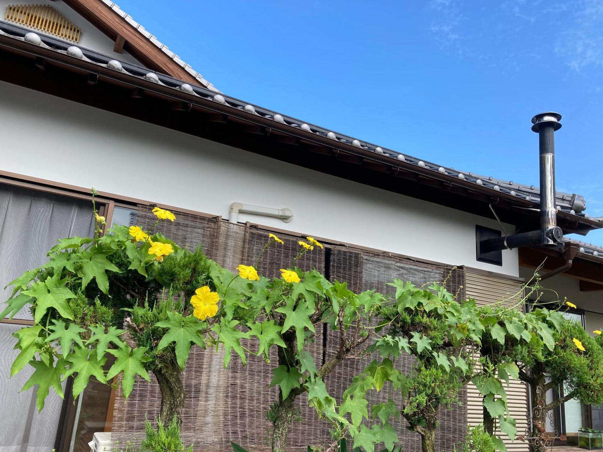 体験型農家民泊「お陽さまと風」 Apartment Bungoono Екстериор снимка